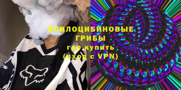 ПСИЛОЦИБИНОВЫЕ ГРИБЫ Алексин