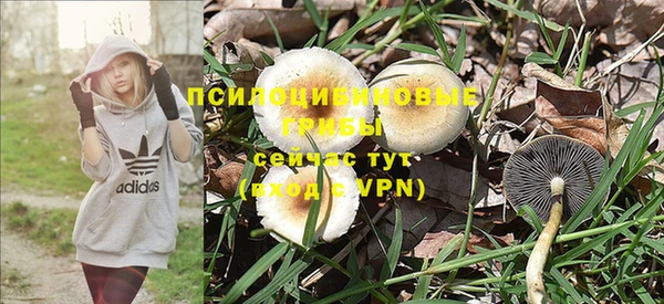 ПСИЛОЦИБИНОВЫЕ ГРИБЫ Алексин