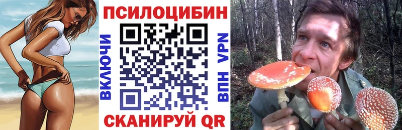 площадка как зайти  Щёлкино  Псилоцибиновые грибы мицелий 